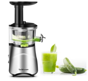 professional juicer